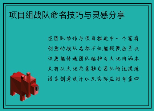 项目组战队命名技巧与灵感分享